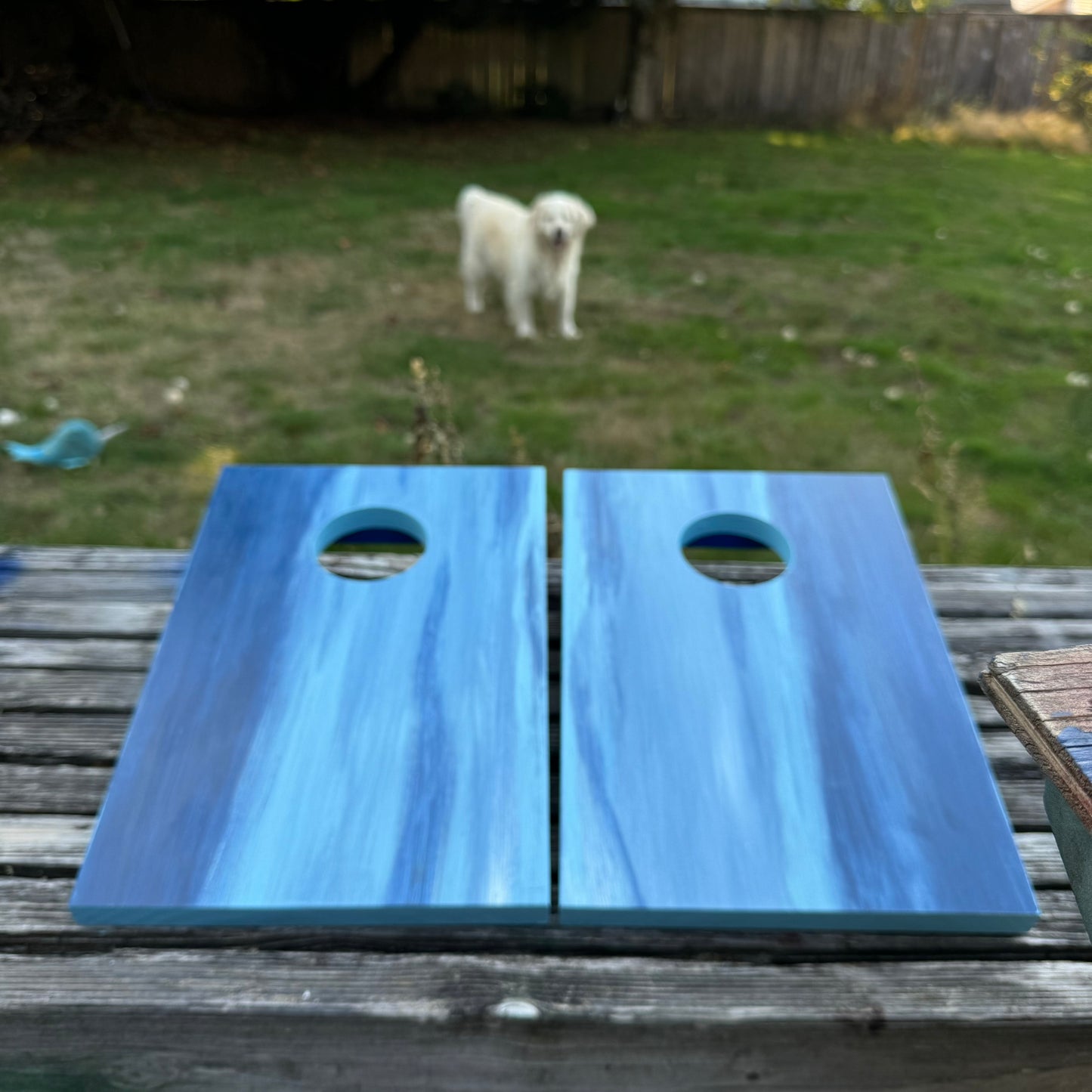 Tabletop Cornhole Game